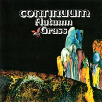 Cover of the Continuum  - Autumn Grass CD