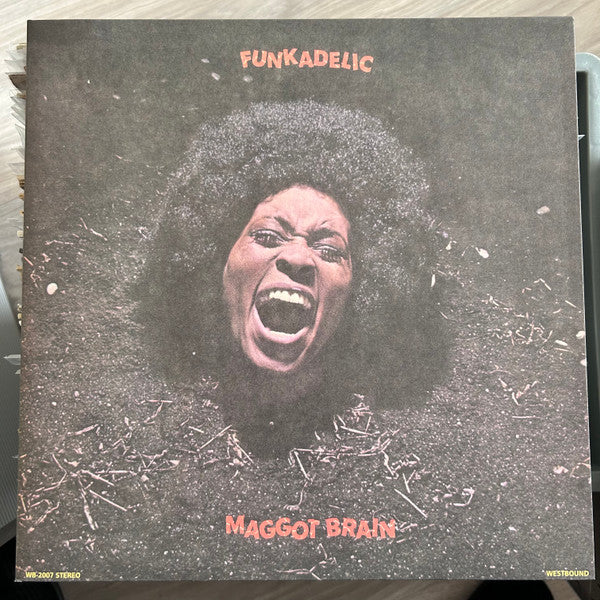 Cover of the Funkadelic - Maggot Brain LP