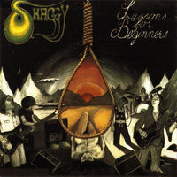 Cover of the Shaggy  - Lessons For Beginners LP