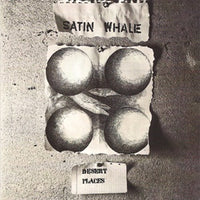 Album Cover of Satin Whale - Desert Places