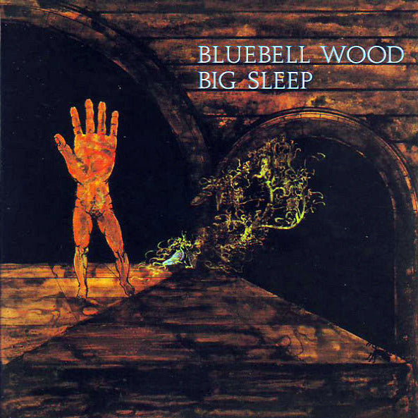 Cover of the Big Sleep  - Bluebell Wood LP