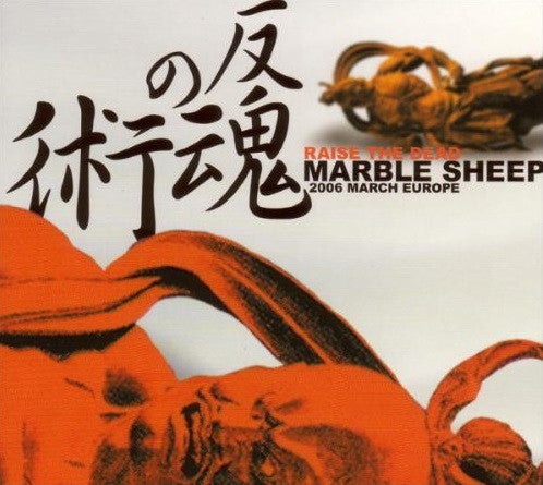 Cover of the Marble Sheep - Raise The Dead (2006 March Europe) DIGI