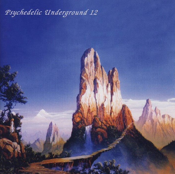 Cover of the Various - Psychedelic Underground 12 CD