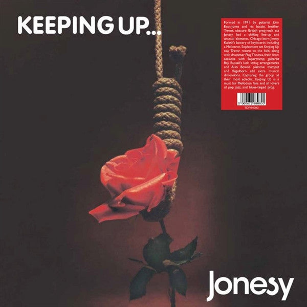 Cover of the Jonesy  - Keeping Up... LP
