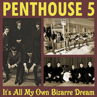 Cover of the The Penthouse 5 - It's All My Own Bizarre Dream LP